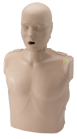 PP-AM-100M-MS_CUTOUT